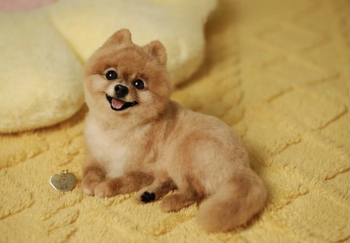 image comparison after