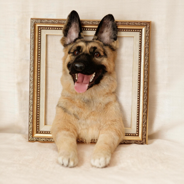 Custom Needle Felted Pet Portrait in Frame – Handmade Wool Memorial Art